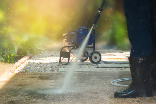 Best Driveway Pressure Washing  in De Motte, IN